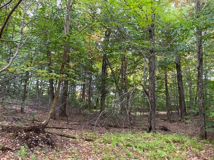 Catskills NY land for sale