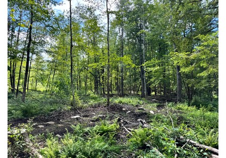 NY land for sale