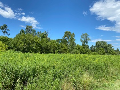 NY camp for sale near Oneida Lake NY