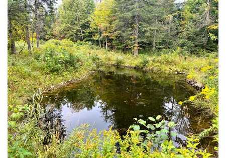 NY land for sale
