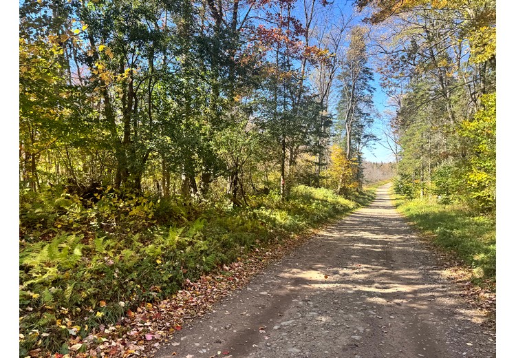 Tug Hill NY land for sale