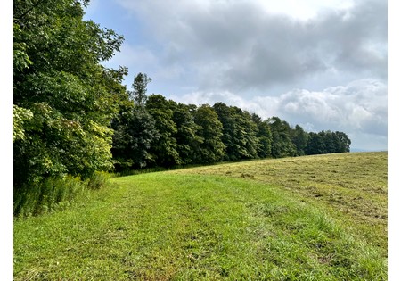 Finger Lakes NY area land for sale