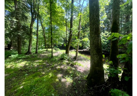 NY waterfront land for sale