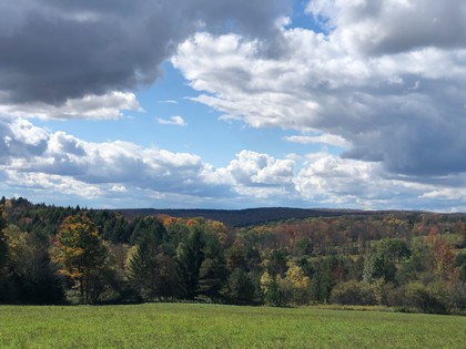 NY land for sale in Chenango County