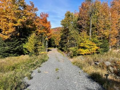 Adirondack land for sale