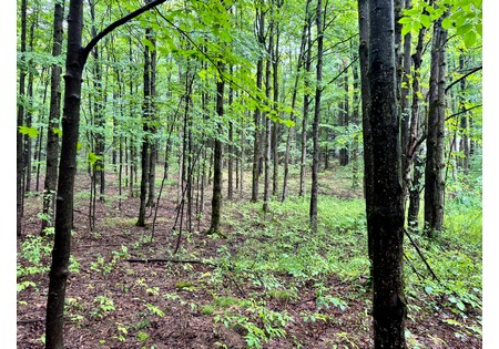 Finger lakes NY land for sale
