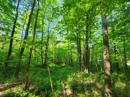 NY hunting land for sale