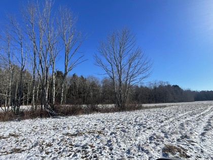 Central NY building lot for sale