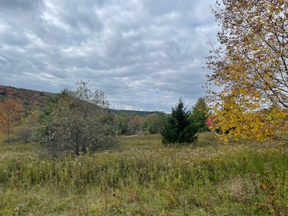 NY land for sale southern tier