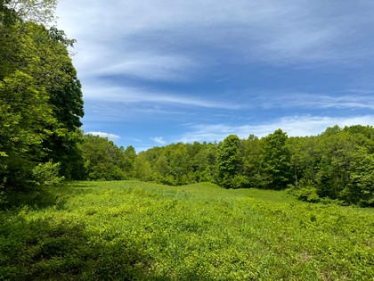NY waterfront land for sale