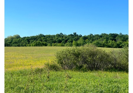 NY Southern Tier land for sale