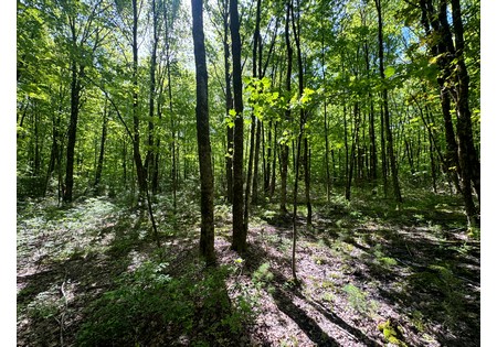 NY land for sale 