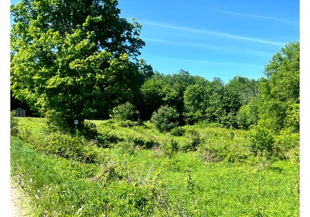 NY Southern Tier land for sale