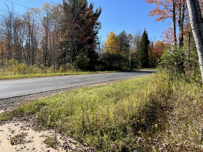 NY land and camps for sale