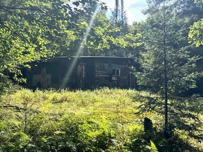 Adirondack riverfront land for sale