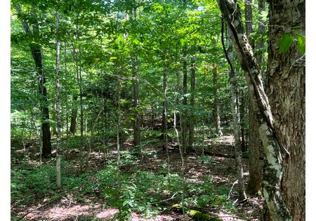 NY land for sale