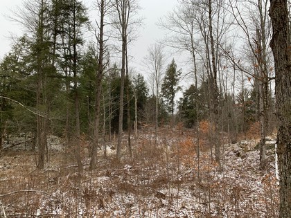 Adirondack NY land for sale in Diana NY