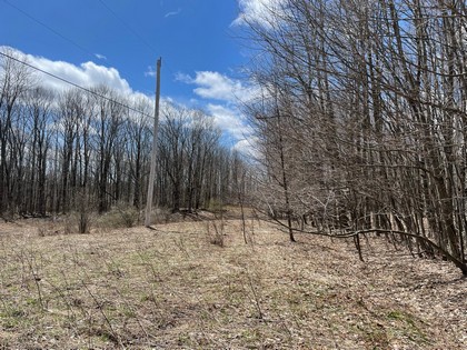 NY land and camps near Salmon River