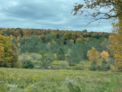 NY land for sale Catskills area