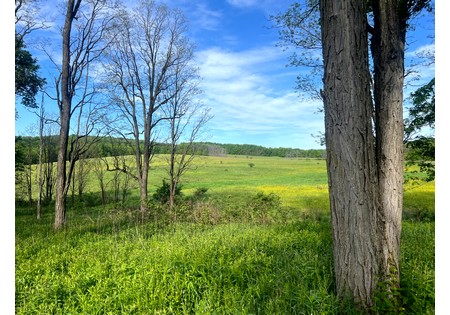 NY southern tier hunting land for sale