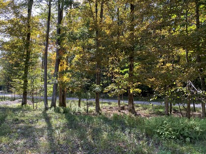 NY land for sale near Oneida Lake