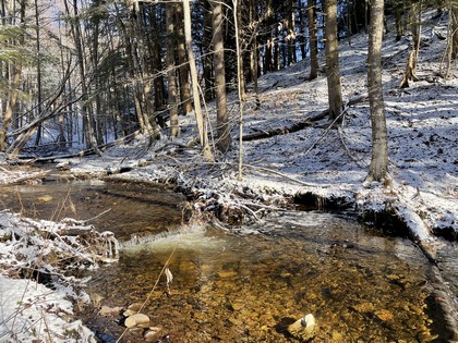 NY waterfront land for sale