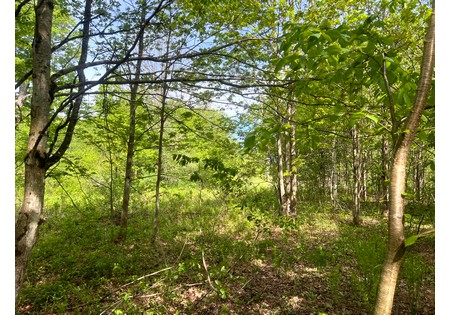 Land for sale NY