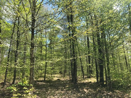 Adirondack area NY land for sale