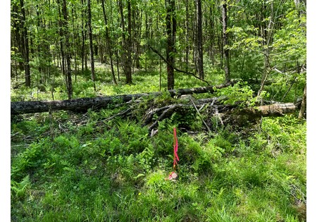 Land for sale near Oneida Lake NY