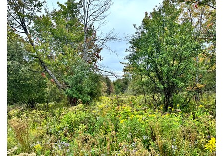 NY hunting land for sale