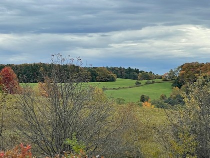 NY land for sale near Catskills