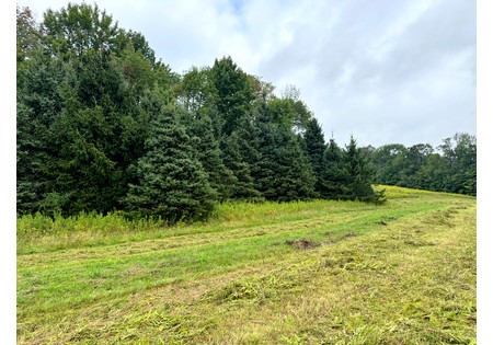 NY hunting land for sale