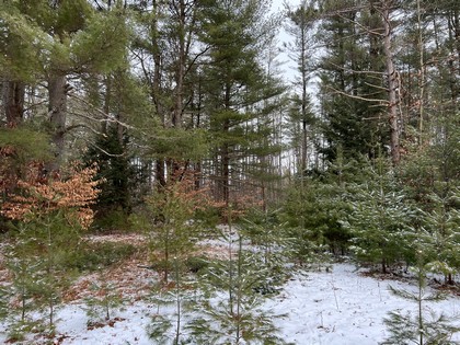 NY land for sale near Oneida Lake NY