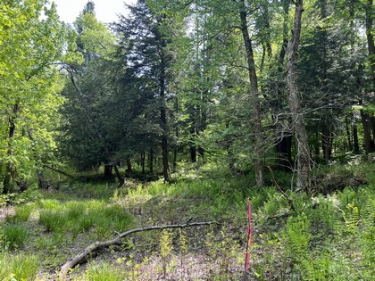 Riverfront land for sale in NY