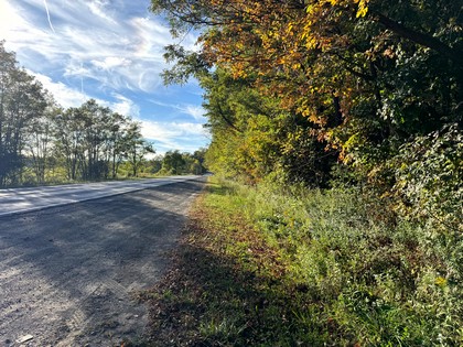 Southern Tier NY land for sale 