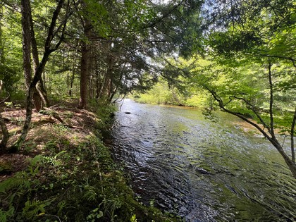 NY waterfront land for sale, land and camps, ny waterfront properties, ny lakefront land, christmas associates