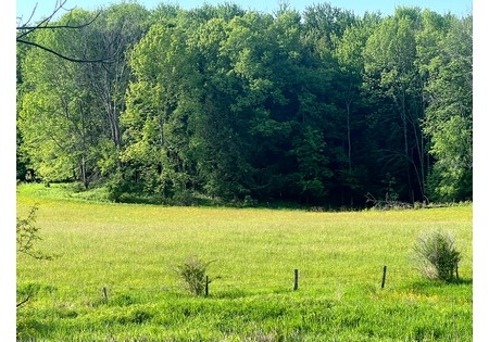 NY southern tier hunting land for sale