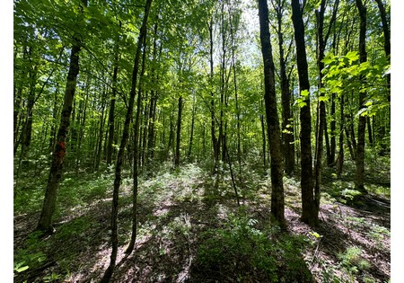 NY land for sale 