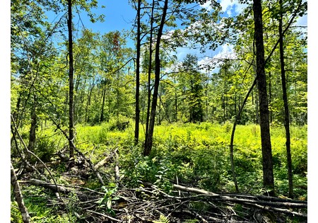 NY land for sale