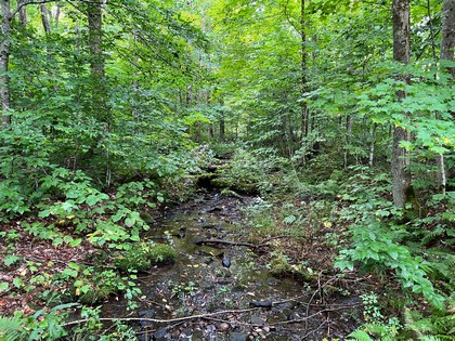 NY hunting land for sale