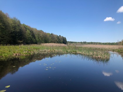 NY waterfront land for sale in Amboy NY