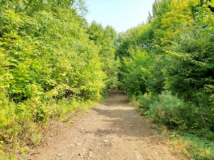 NY creek front land for sale Florence NY