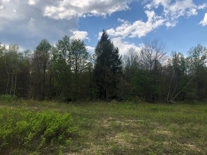 This wooded 90 acres in Diana NY would make a perfect hunting property with frontage on Brown’s Creek for excellent trout fishing.