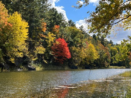 NY waterfront land for sale, land and camps, ny waterfront properties, ny lakefront land, christmas associates