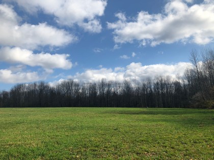 NY hunting land for sale