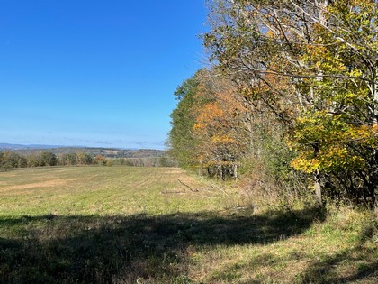 NY land for sale southern tier NY