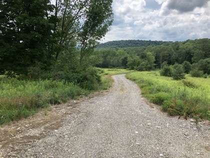 Southern tier land for sale in Harford NY