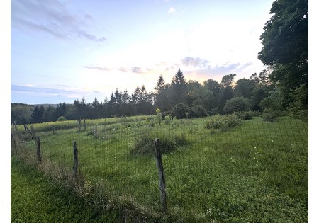 Finger Lakes NY homes for sale