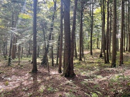 NY property for sale near Oneida Lake