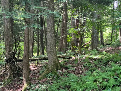 NY land for sale